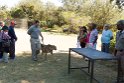 Moholoholo rehab center 004